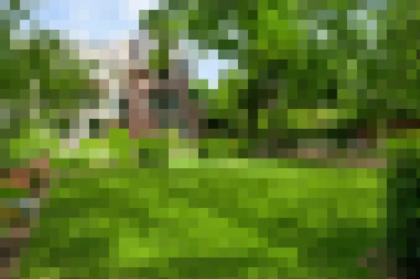 Geneindestraat 25 E Valkenburg thumbnail 4