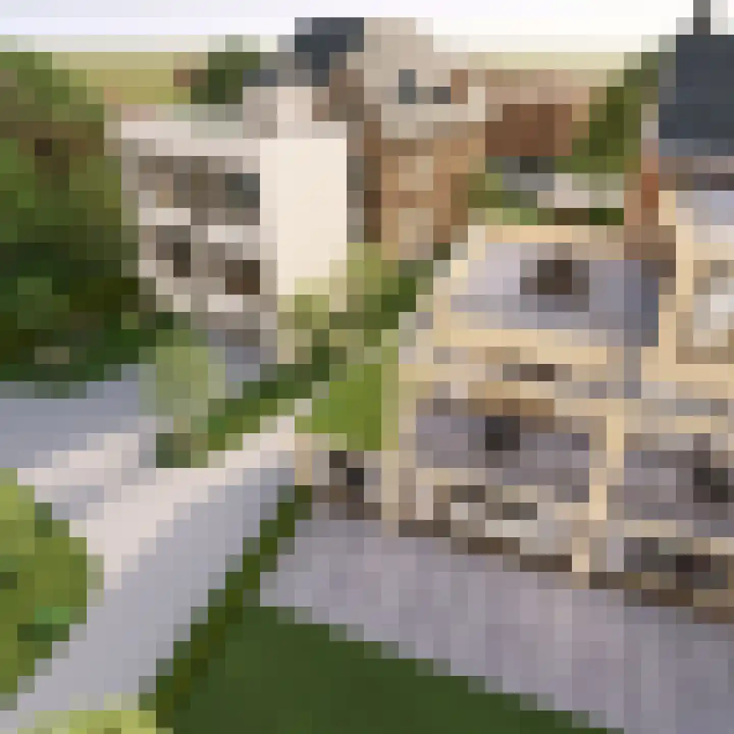 Geneindestraat 27 Valkenburg thumbnail 4