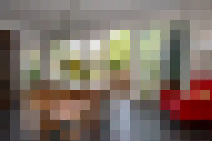 Genemuidenstraat 11 Tilburg thumbnail 24