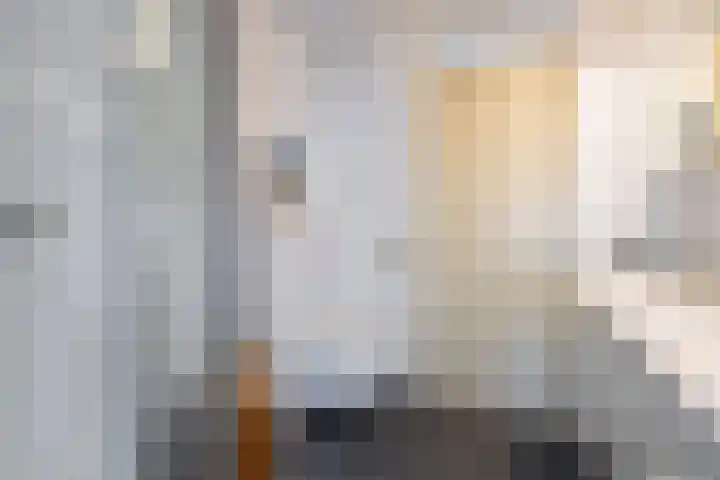 Genemuidenstraat 11 Tilburg thumbnail 32