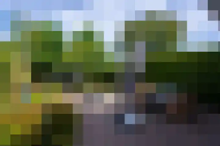 Genemuidenstraat 11 Tilburg thumbnail 36