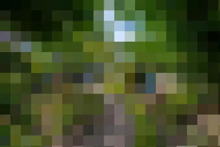 Genemuidenstraat 11 Tilburg thumbnail 37