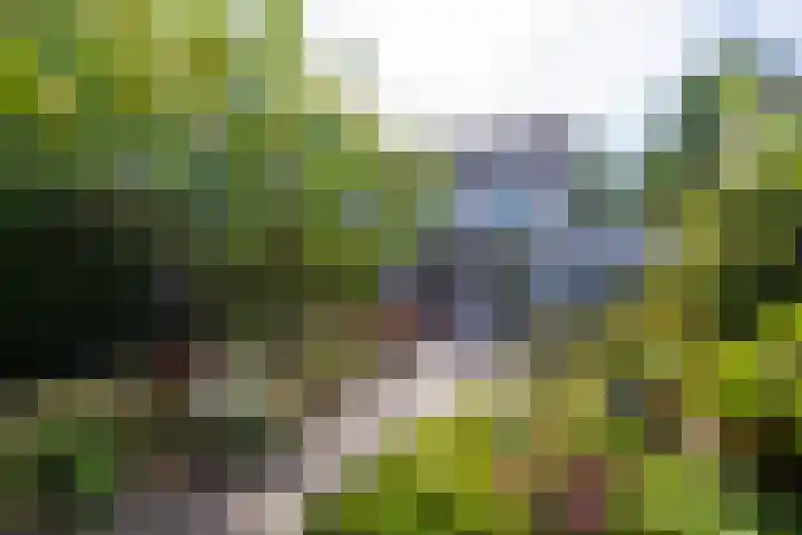 Genemuidenstraat 11 Tilburg thumbnail 42