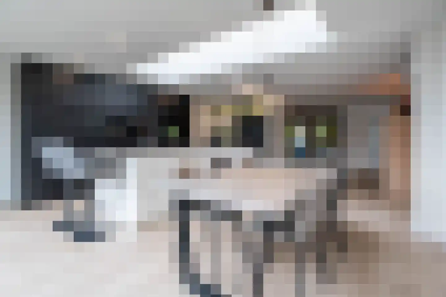 Genemuidenstraat 30 Tilburg thumbnail 11