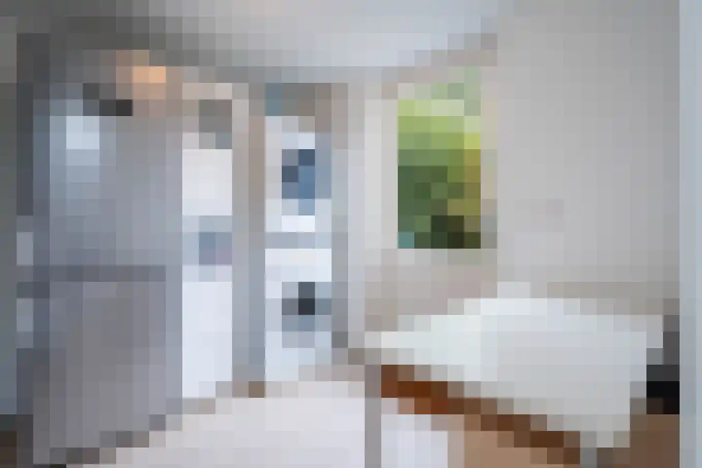 Genemuidenstraat 30 Tilburg thumbnail 12