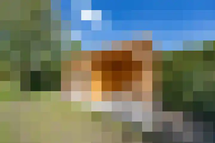 Genenberg 1 B Sint-Michielsgestel thumbnail 31