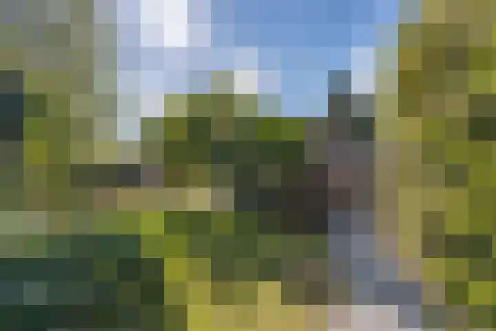 Genenberg 1 B Sint-Michielsgestel thumbnail 33