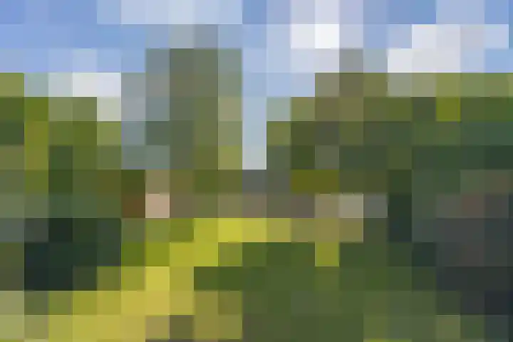 Genenberg 1 B Sint-Michielsgestel thumbnail 34