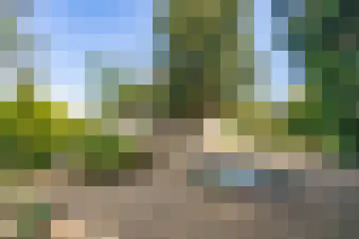 Genenberg 1 B Sint-Michielsgestel thumbnail 38