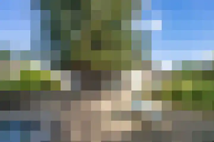 Genenberg 1 B Sint-Michielsgestel thumbnail 39