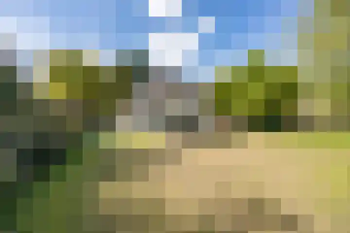 Genenberg 1 B Sint-Michielsgestel thumbnail 4