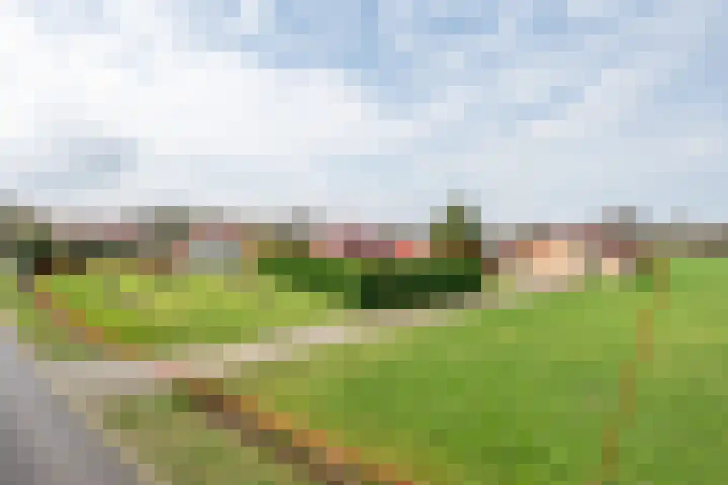 Geneneind 8 Bakel foto 2
