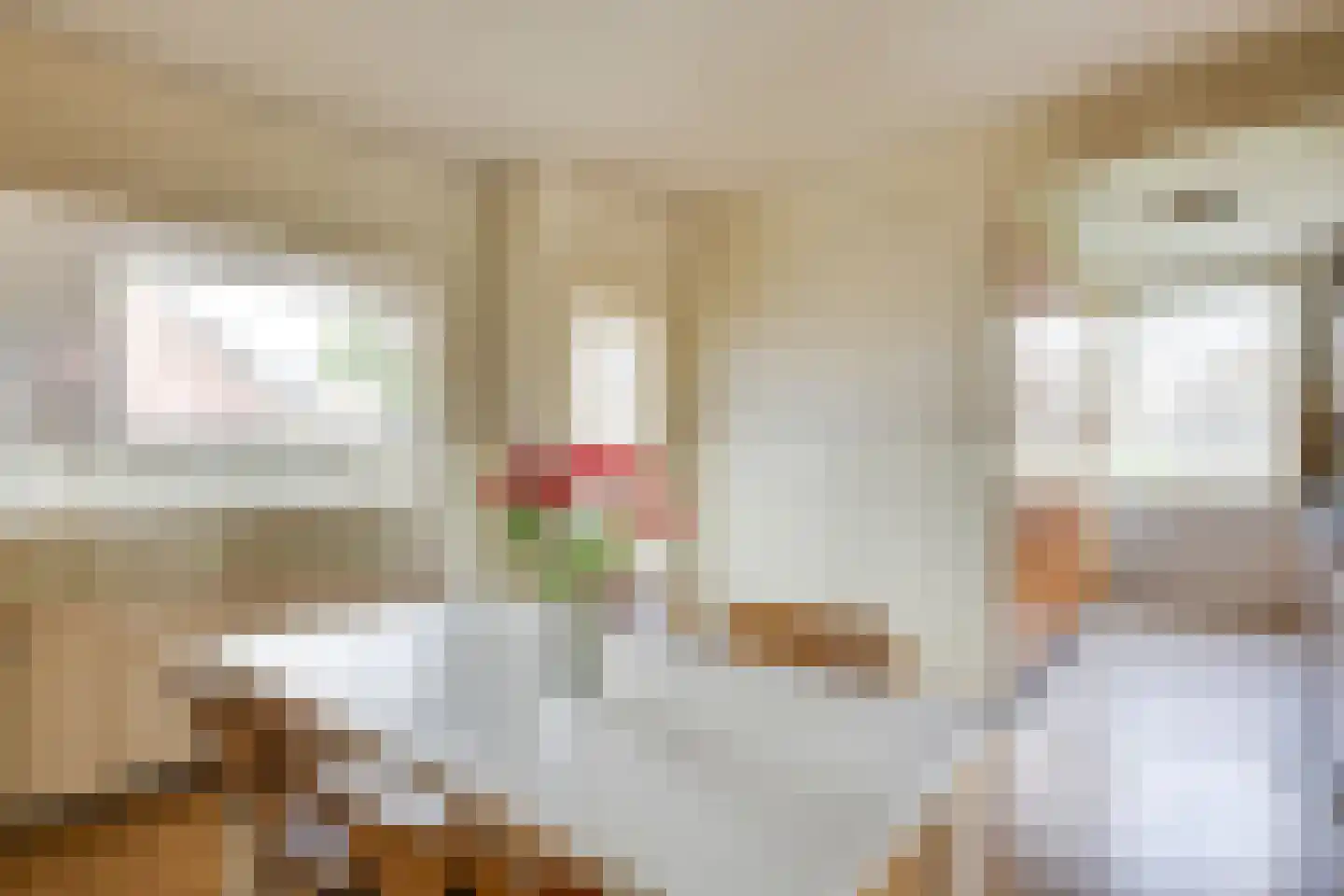 Geneneind 8 Bakel thumbnail 21