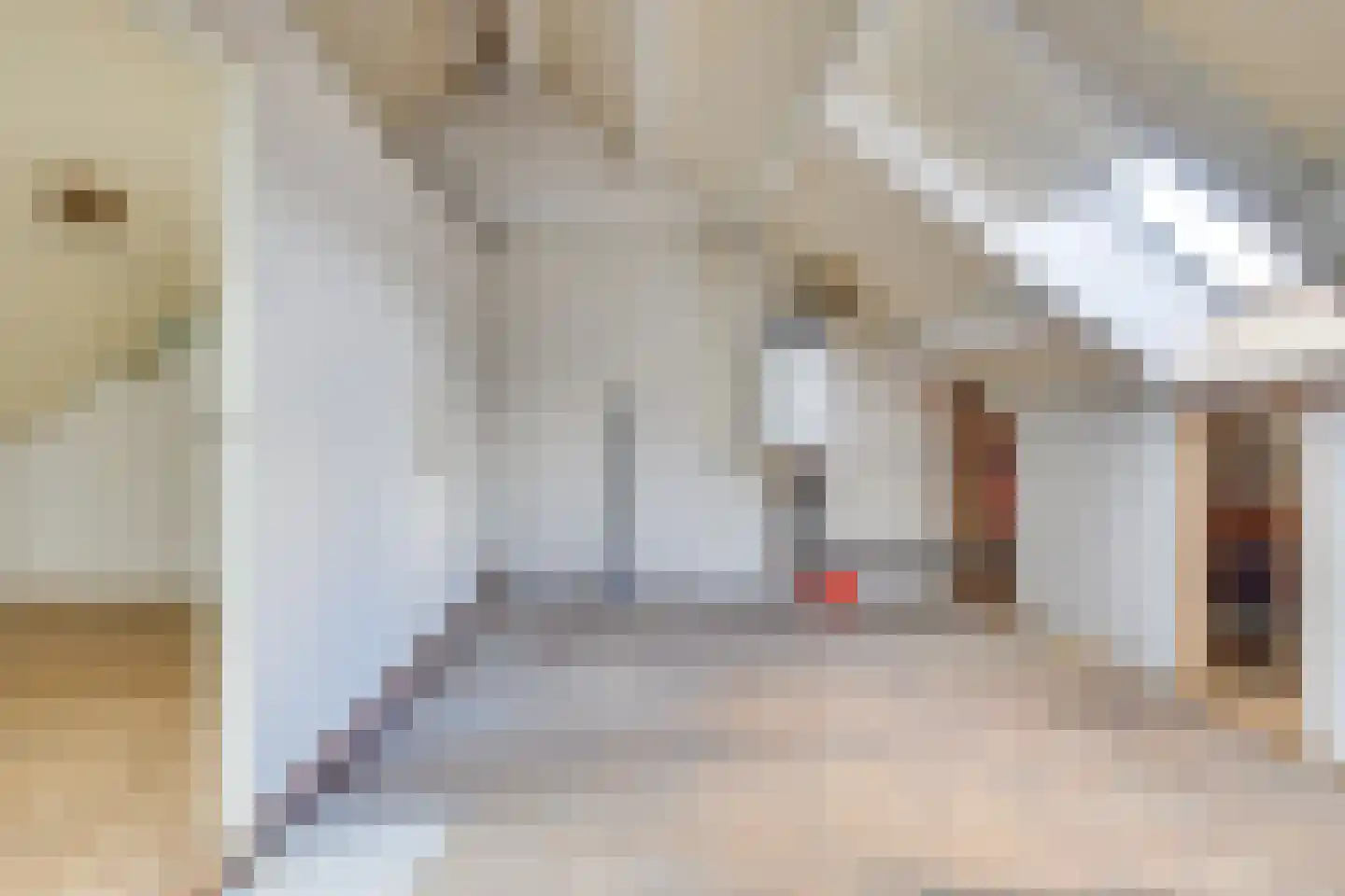 Geneneind 8 Bakel thumbnail 33