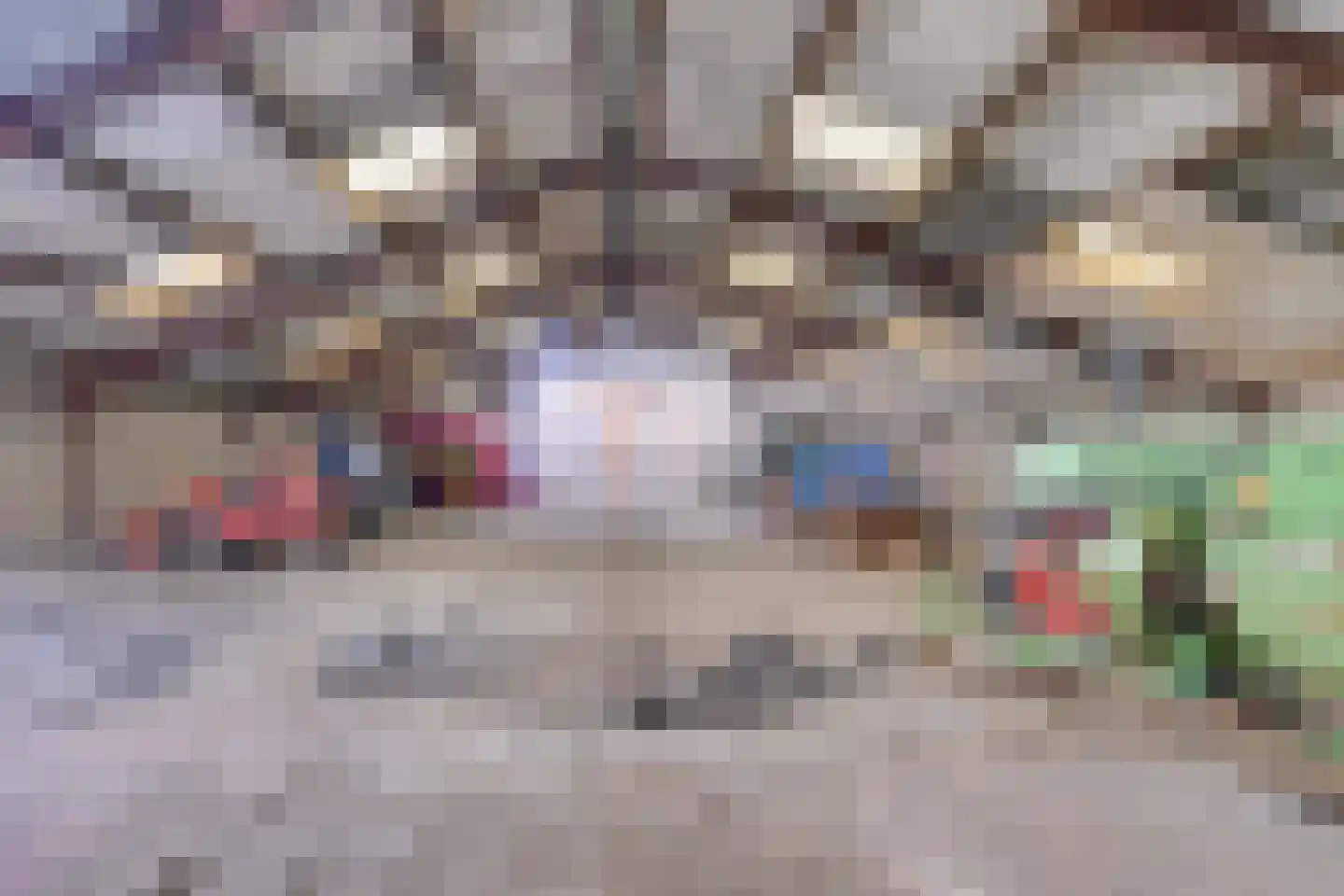 Geneneind 8 Bakel thumbnail 37