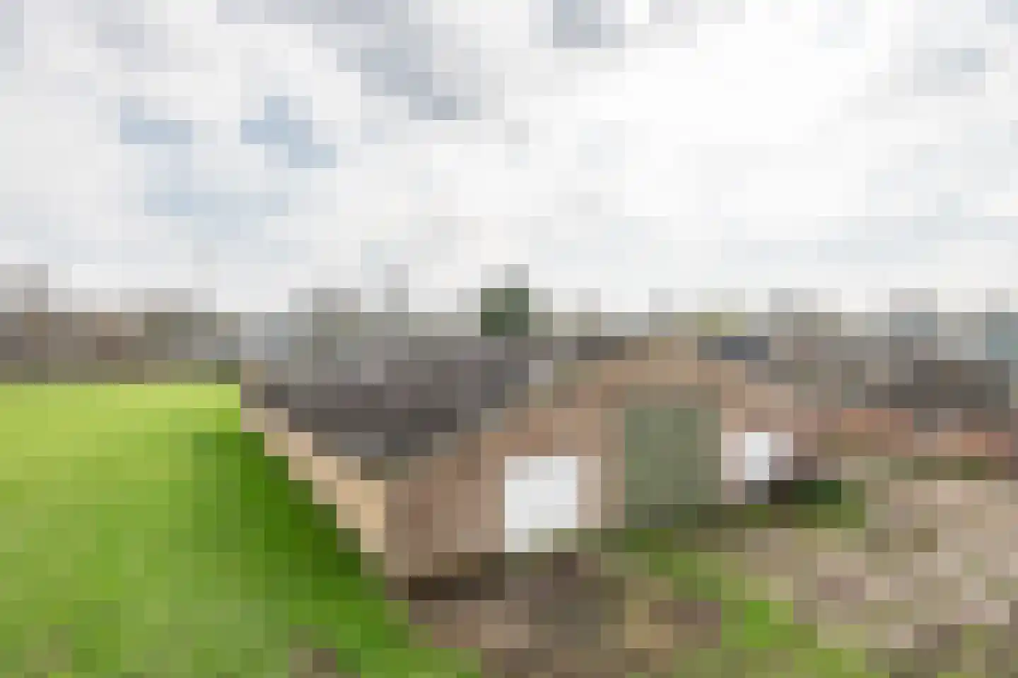Geneneind 8 Bakel thumbnail 38