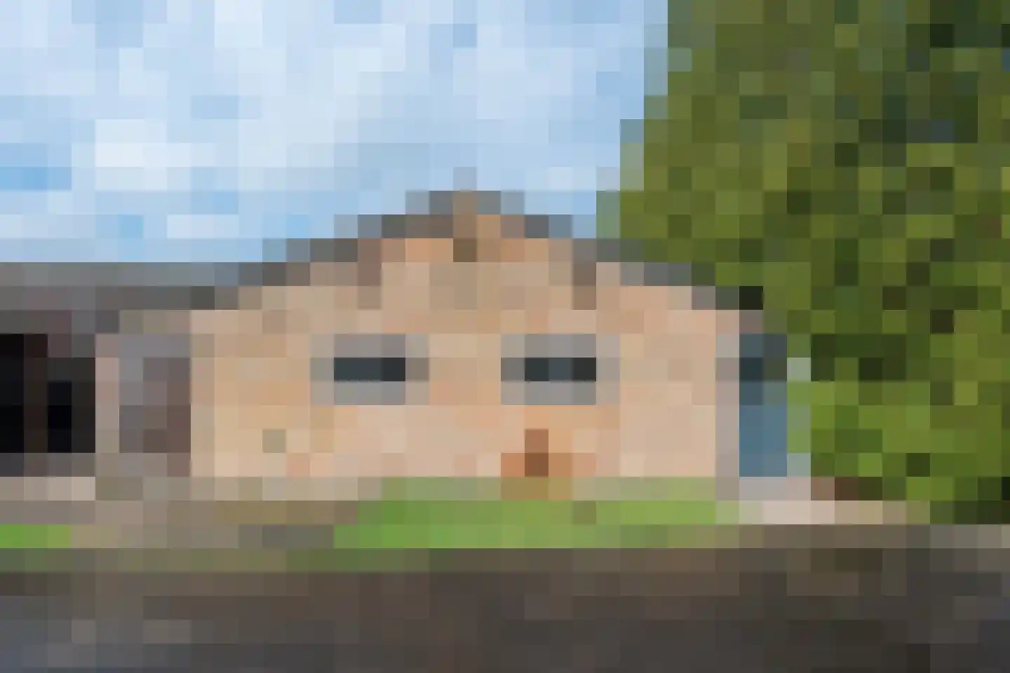 Geneneind 8 Bakel thumbnail 40