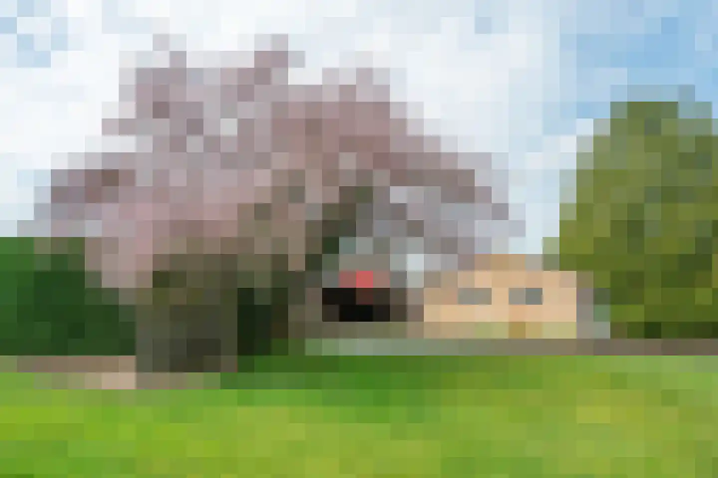 Geneneind 8 Bakel thumbnail 44
