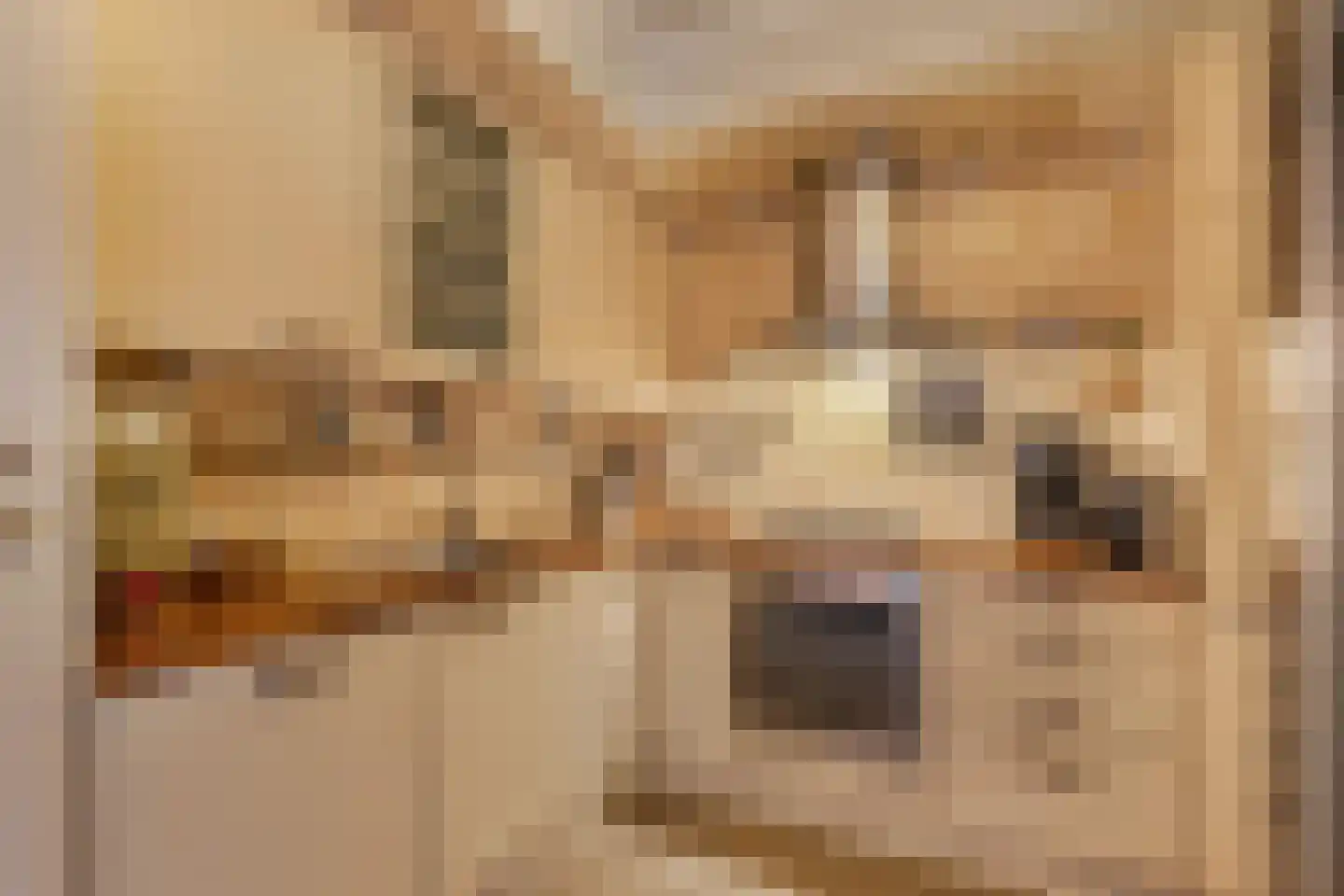 Generaal 1 Heerenveen thumbnail 23