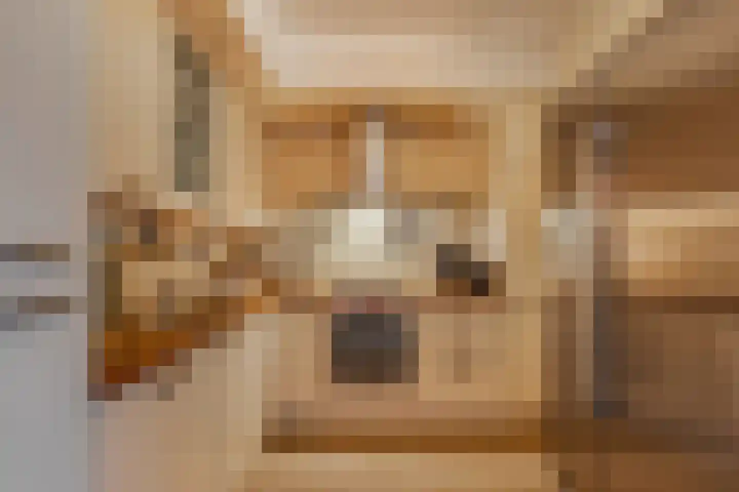 Generaal 1 Heerenveen thumbnail 24
