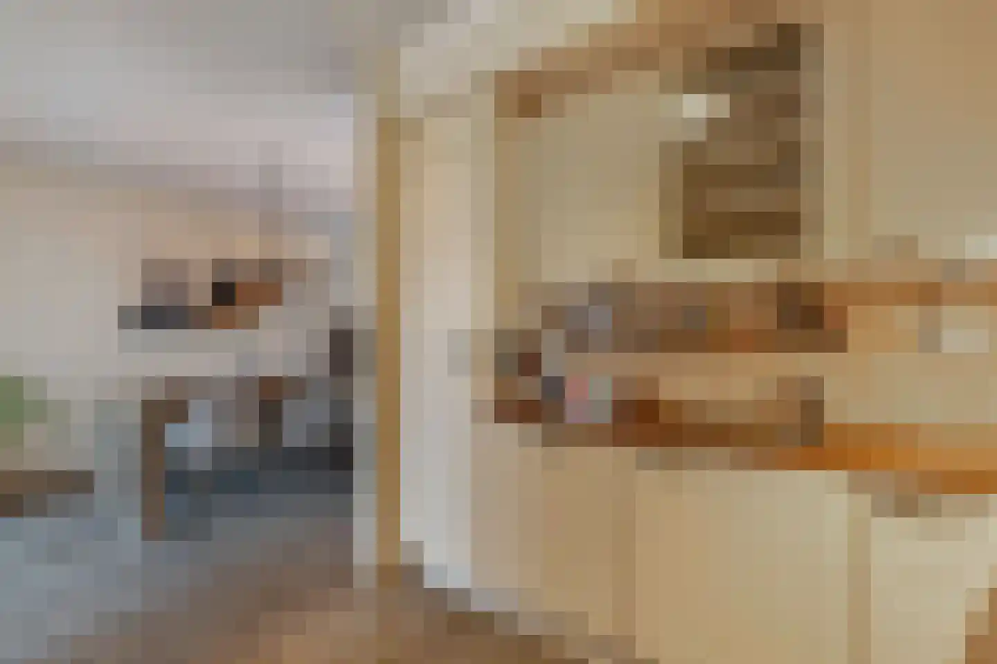 Generaal 1 Heerenveen thumbnail 25