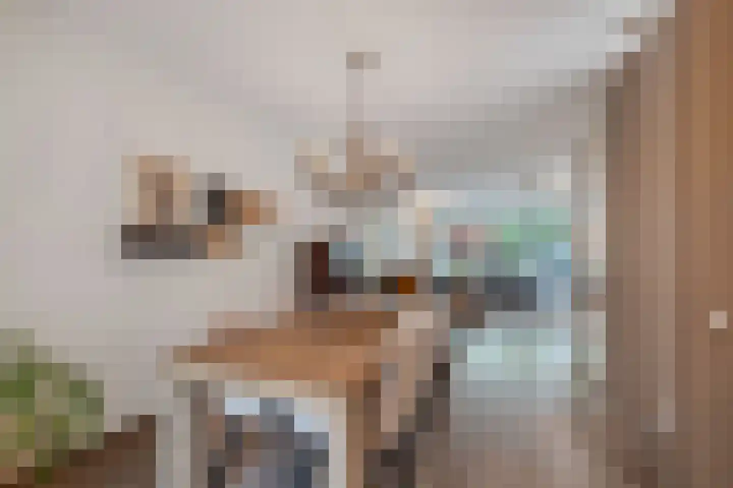 Generaal 1 Heerenveen thumbnail 27