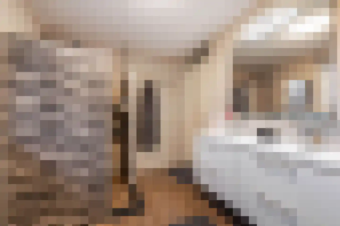 Generaal 1 Heerenveen thumbnail 37