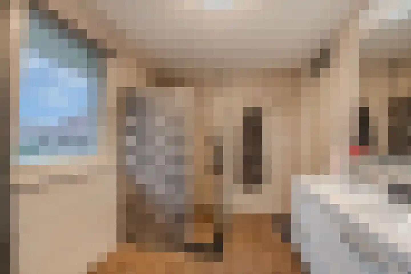Generaal 1 Heerenveen thumbnail 38