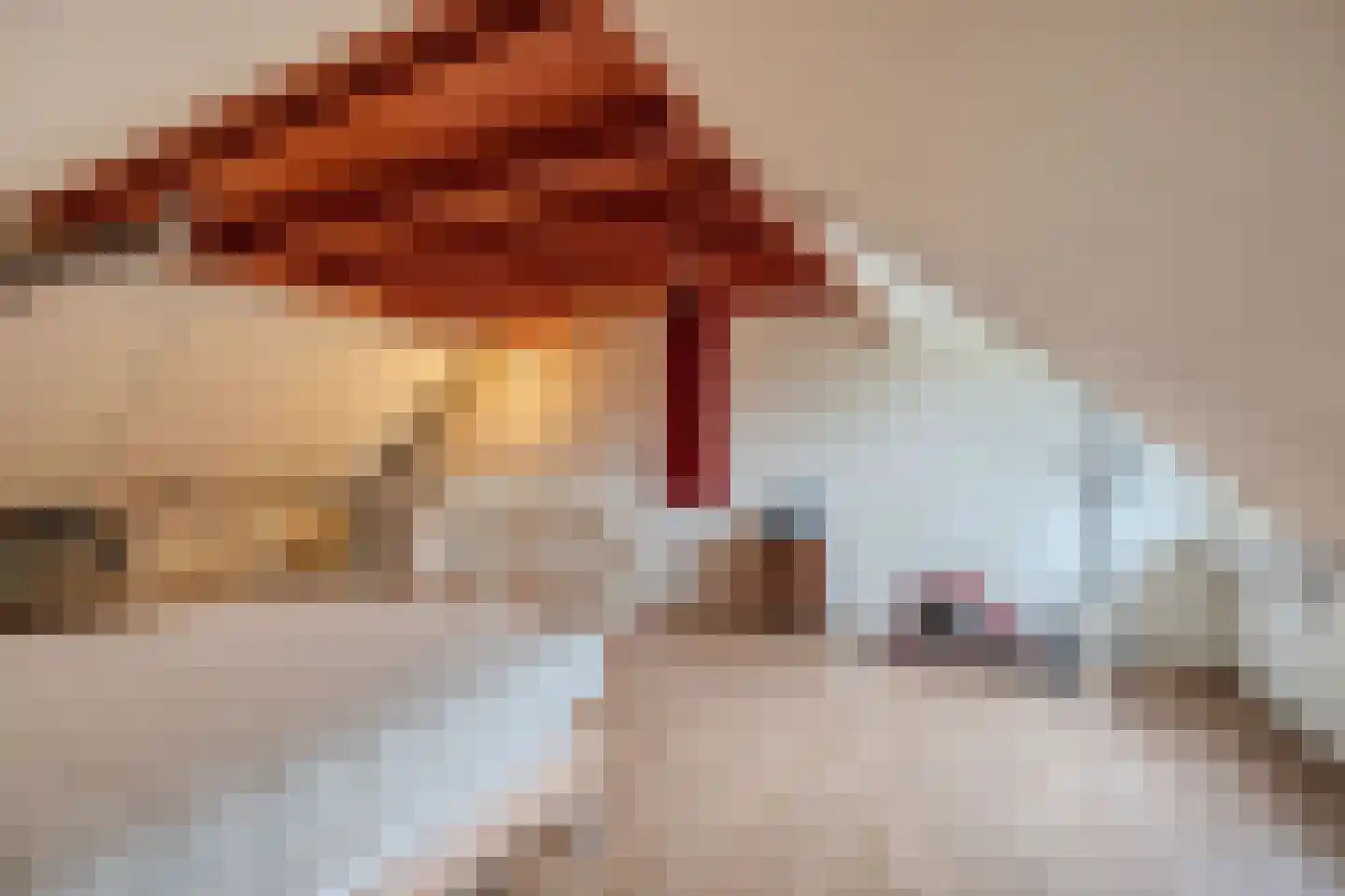 Generaal 1 Heerenveen thumbnail 43