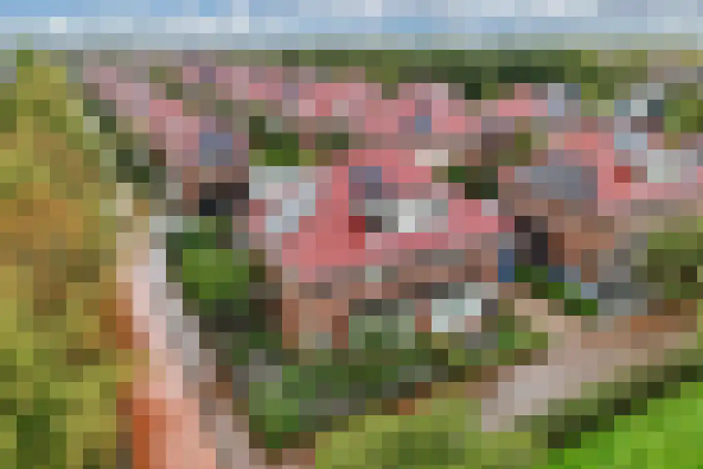 Generaal 1 Heerenveen thumbnail 5