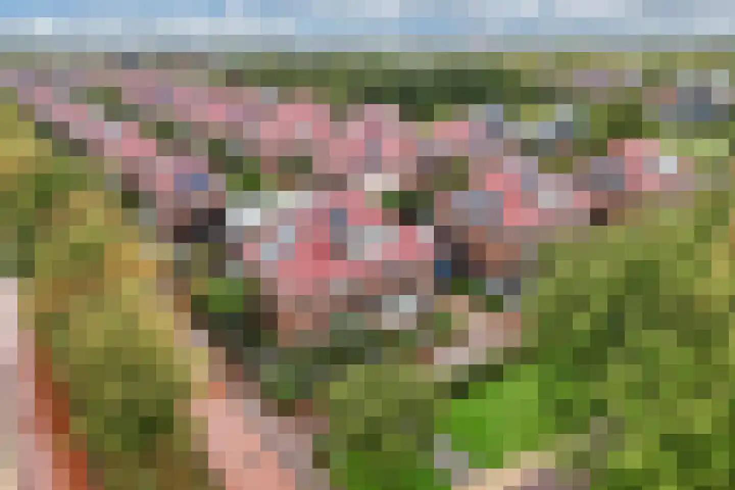 Generaal 1 Heerenveen thumbnail 51