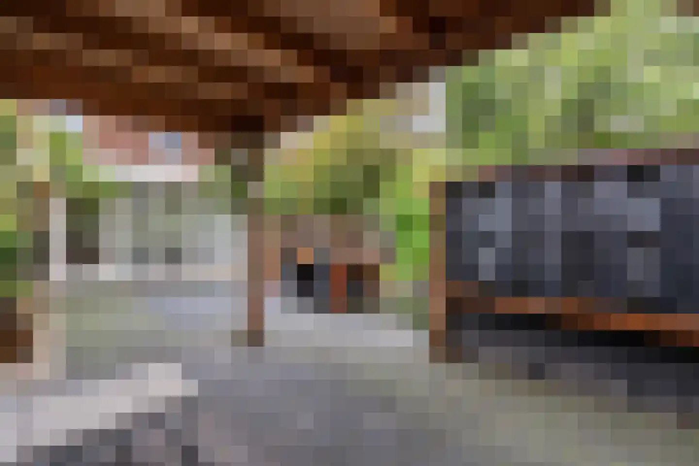 Generaal 1 Heerenveen thumbnail 57