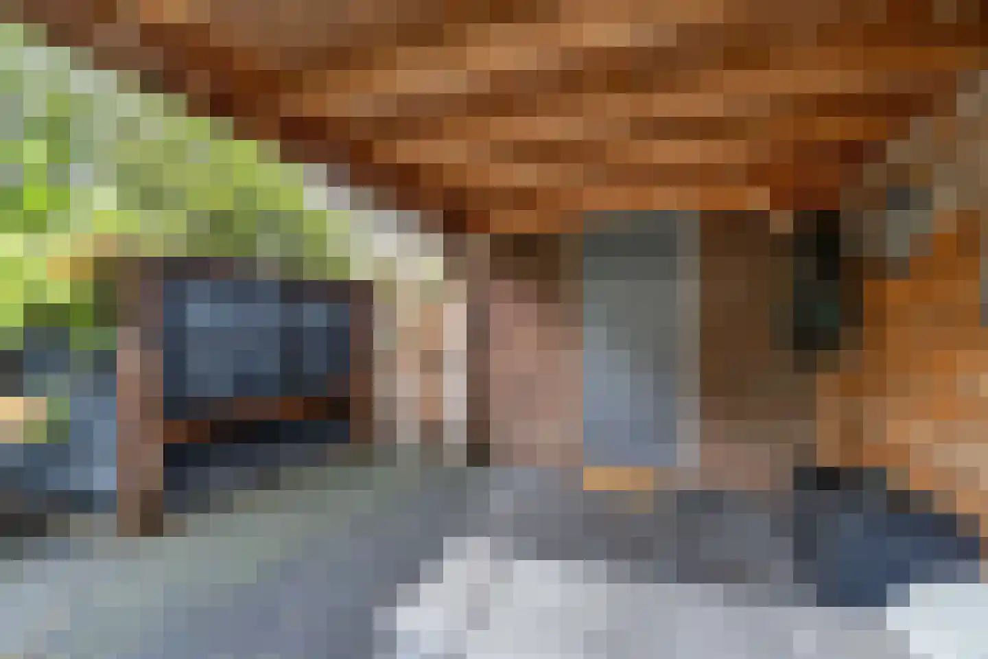 Generaal 1 Heerenveen thumbnail 58