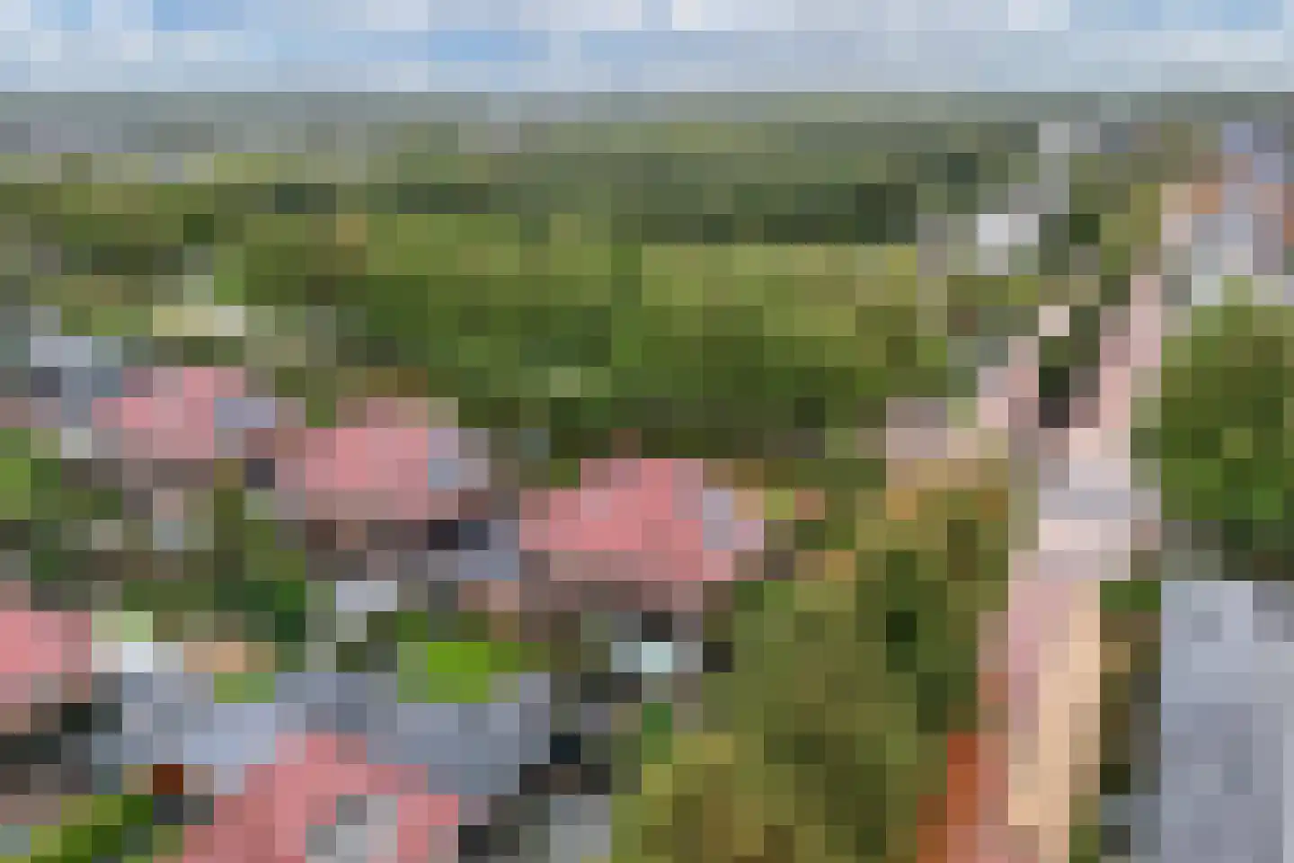 Generaal 1 Heerenveen thumbnail 65