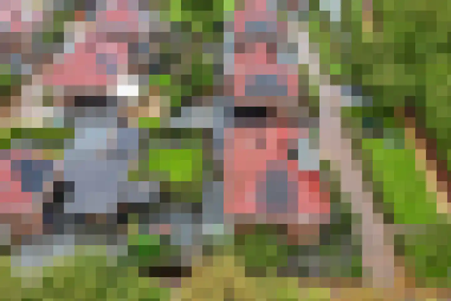 Generaal 1 Heerenveen thumbnail 66
