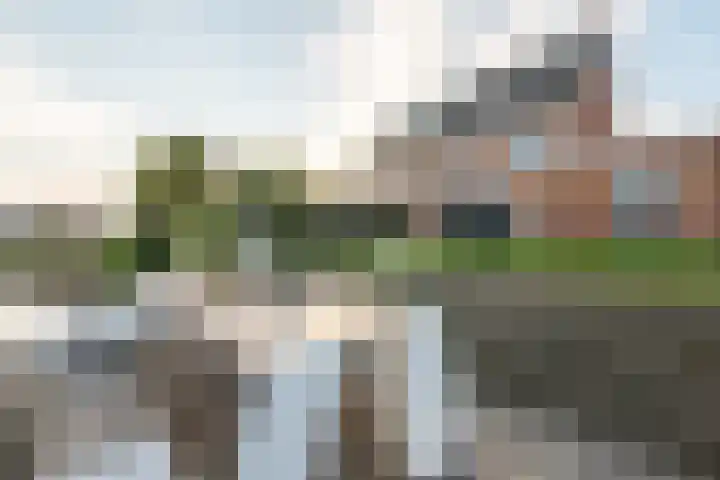 Generaal 20 Gorinchem thumbnail 4