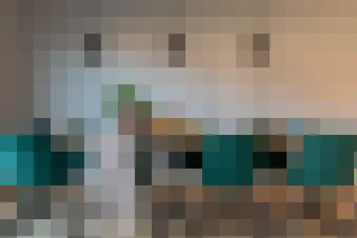 Generaal 20 Gorinchem thumbnail 9
