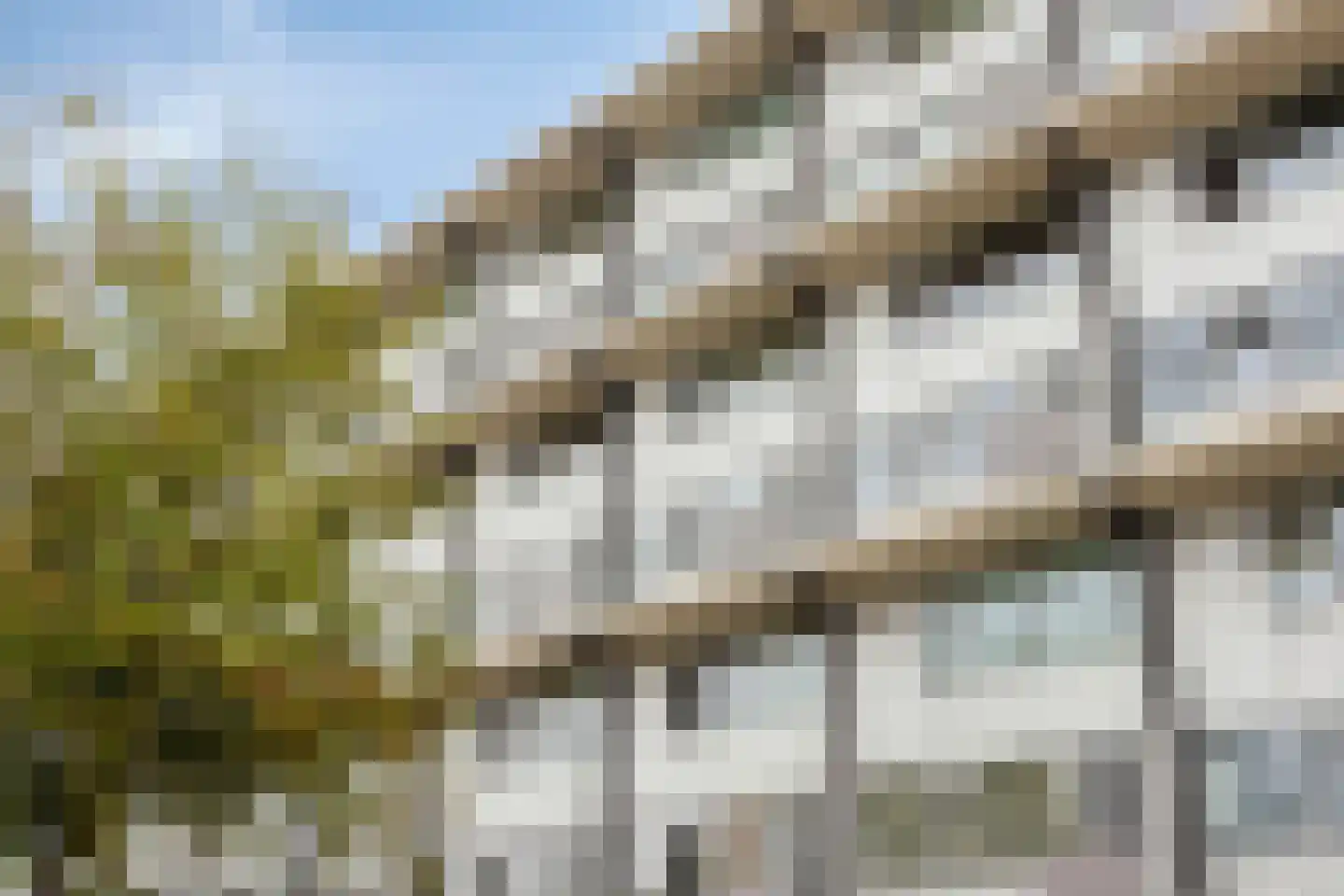 Generaal Barberstraat 85 Tilburg thumbnail 12