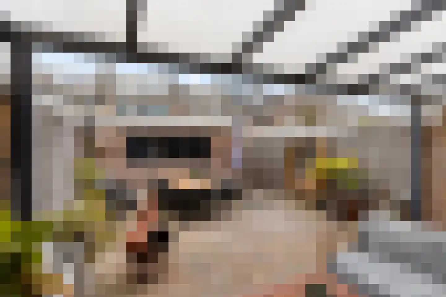 Generaal Bentinckstraat 12 Eindhoven thumbnail 34