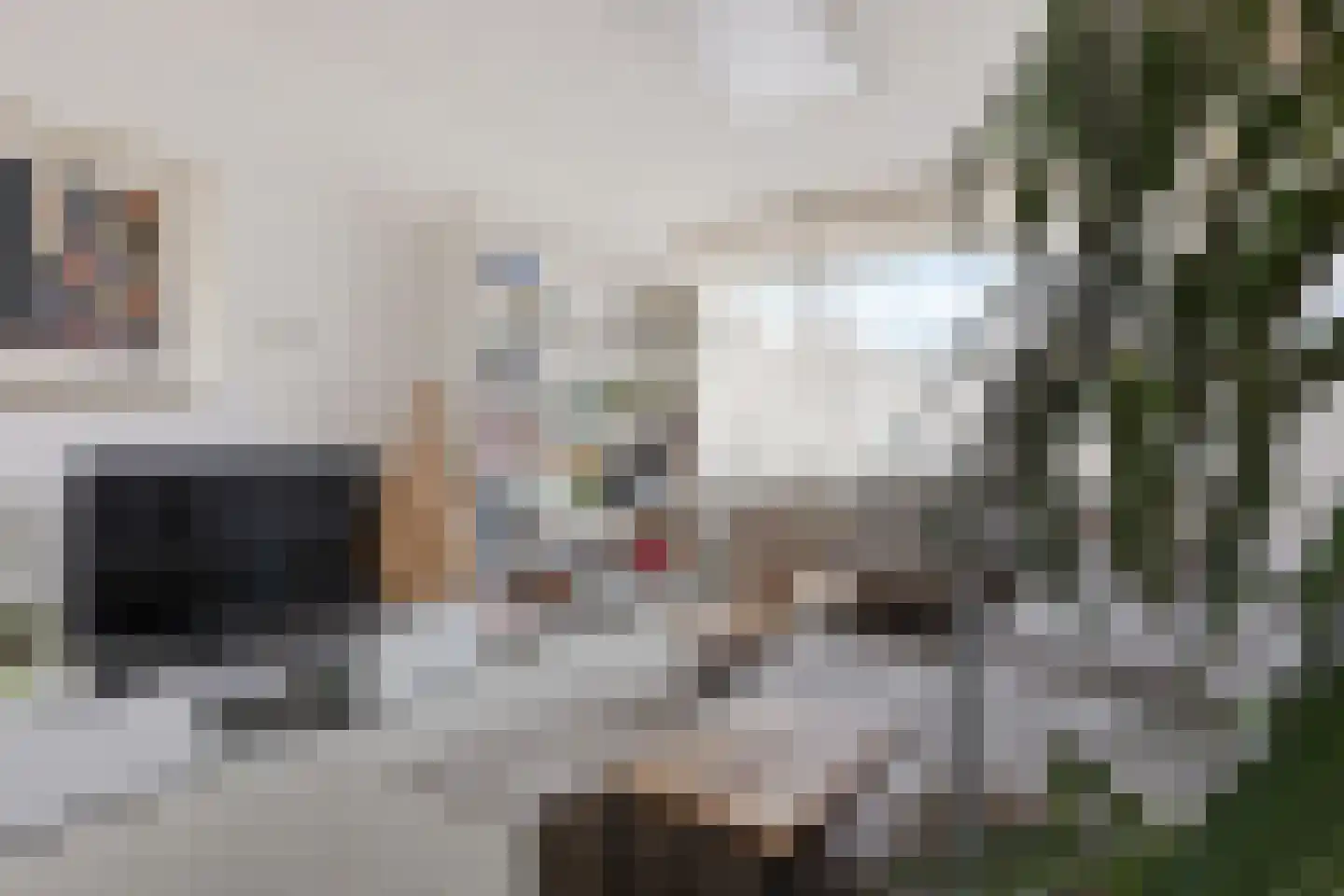 Generaal Bentinckstraat 12 Eindhoven thumbnail 5