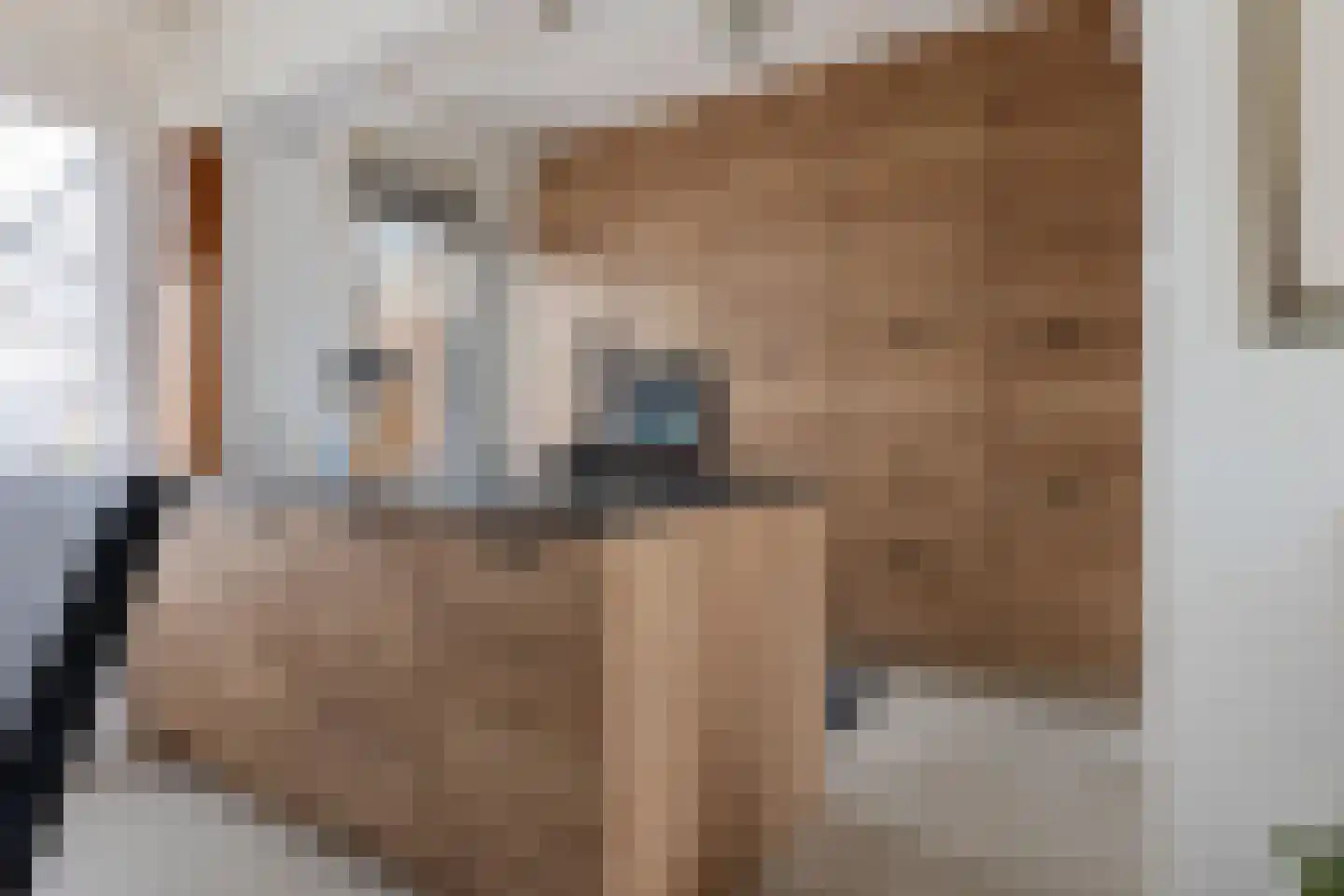 Generaal Bentinckstraat 12 Eindhoven thumbnail 9