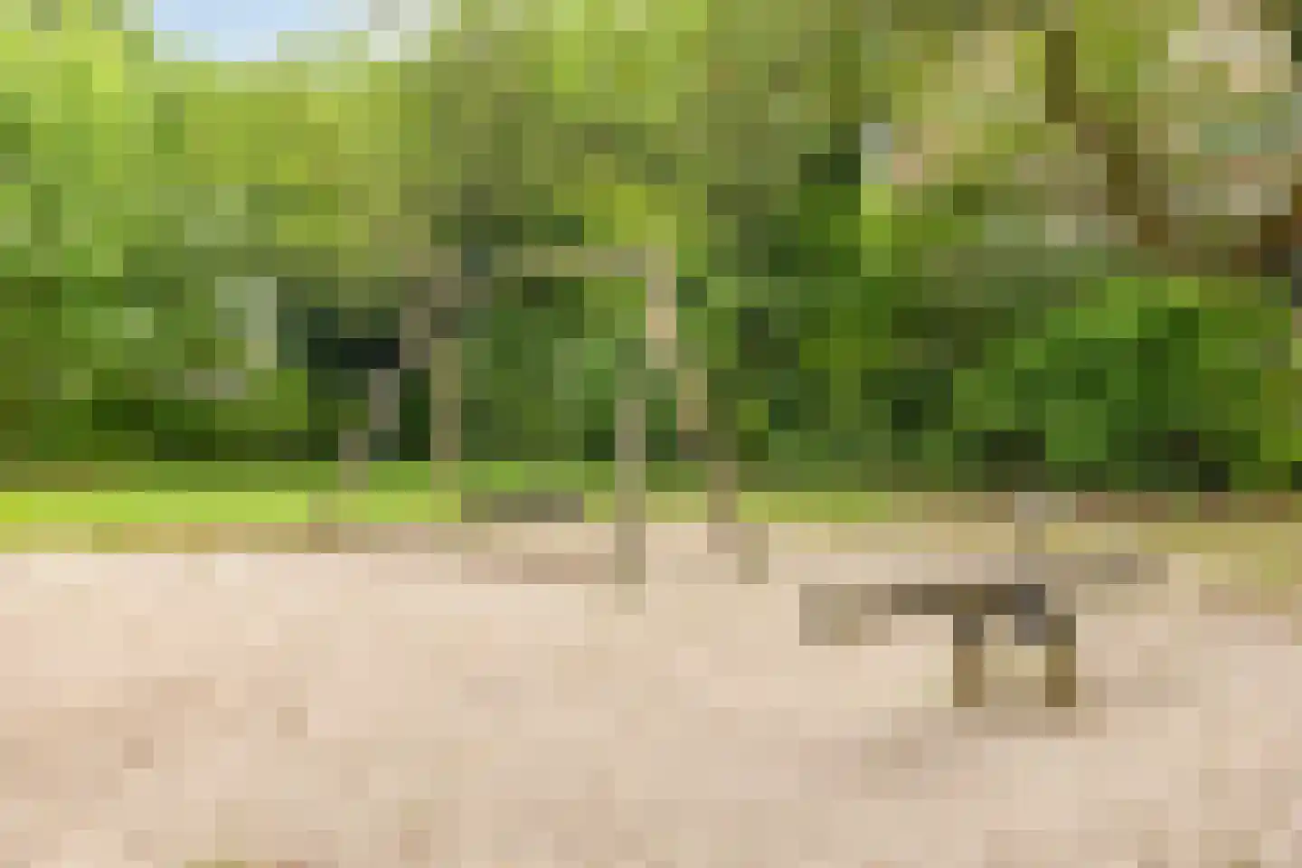 Generaal Bentinckstraat 15 Eindhoven thumbnail 32