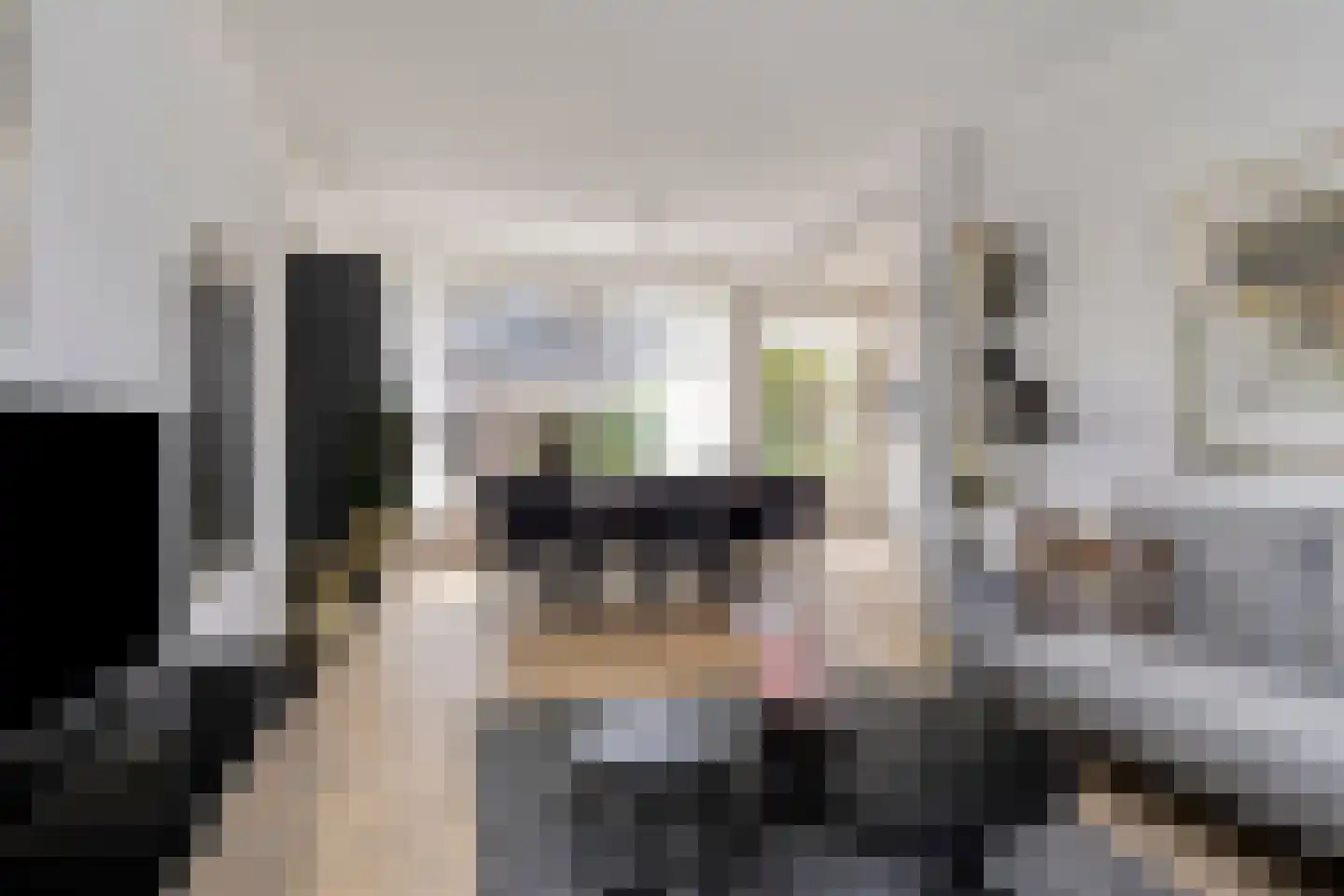 Generaal Bentinckstraat 15 Eindhoven thumbnail 9