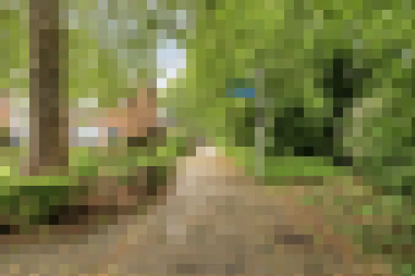 Generaal Bentinckstraat 25 Eindhoven thumbnail 65