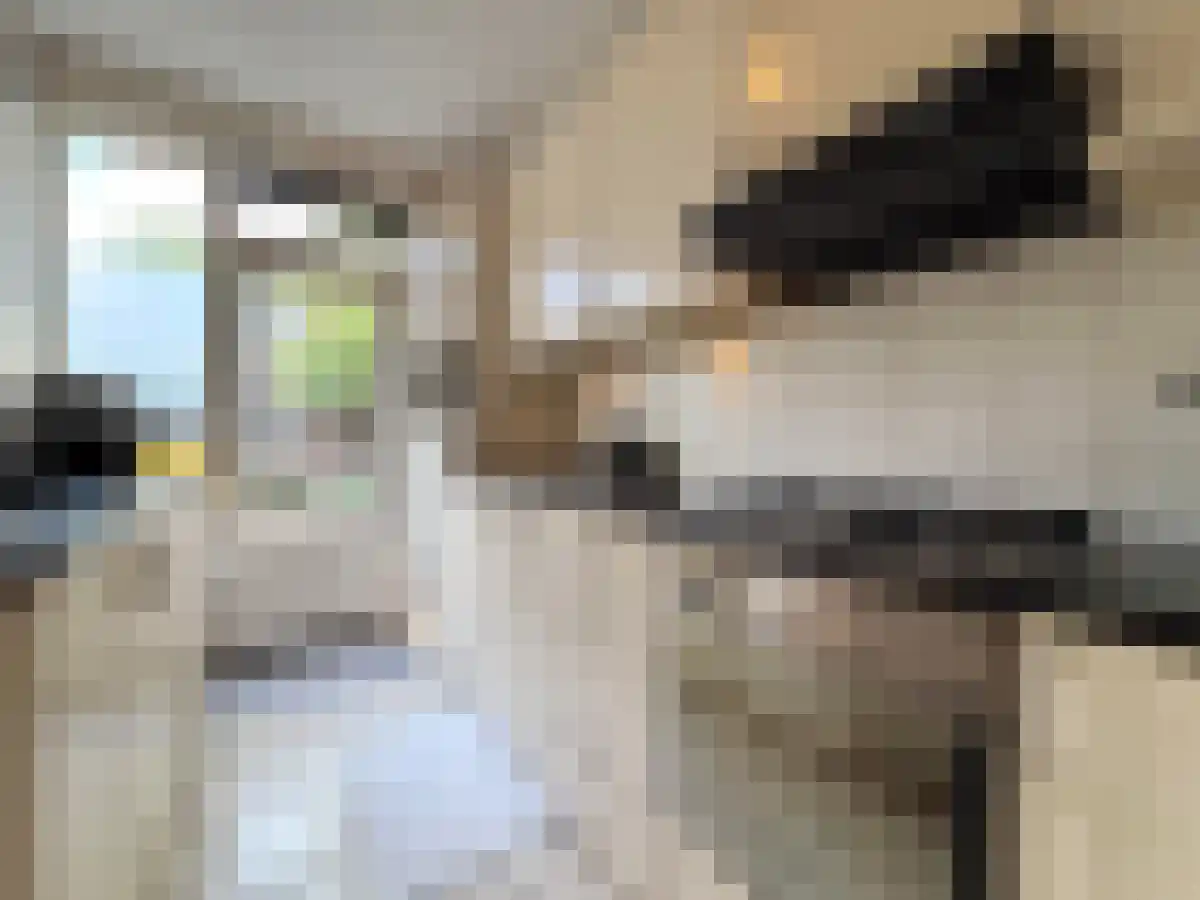 Generaal Bentinckstraat 45 Eindhoven thumbnail 4