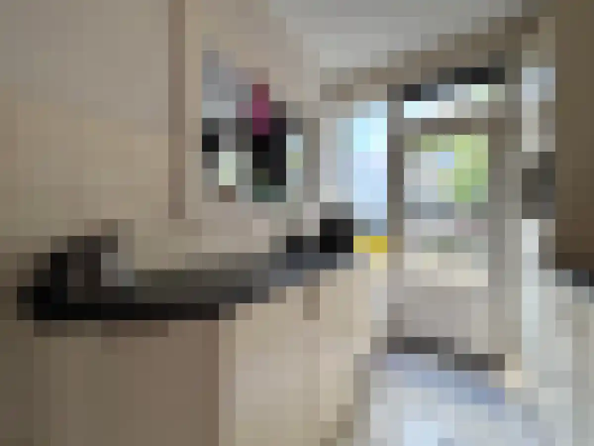 Generaal Bentinckstraat 45 Eindhoven thumbnail 5