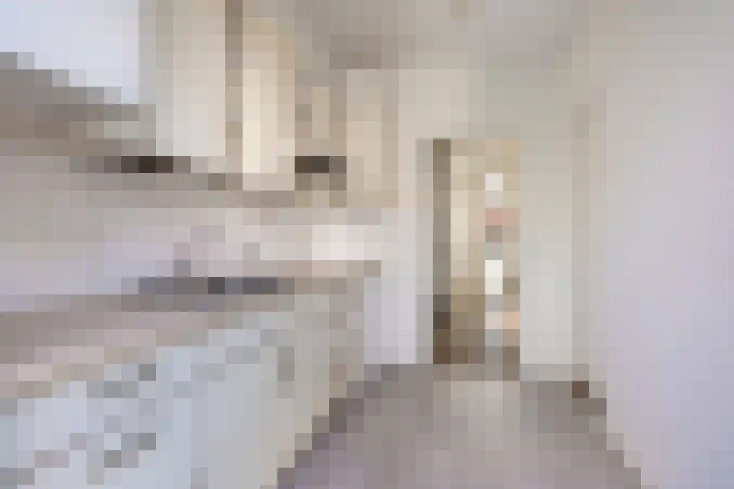 Generaal Bentinckstraat 48 Eindhoven thumbnail 11