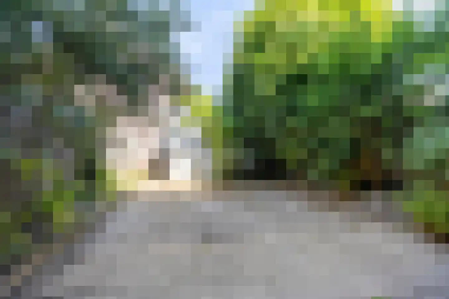 Generaal Bentinckstraat 48 Eindhoven thumbnail 24