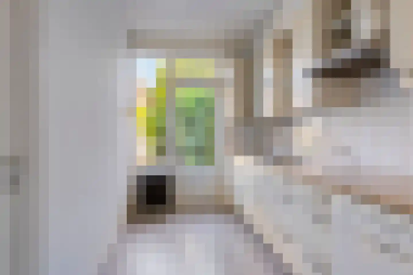 Generaal Bentinckstraat 48 Eindhoven thumbnail 9