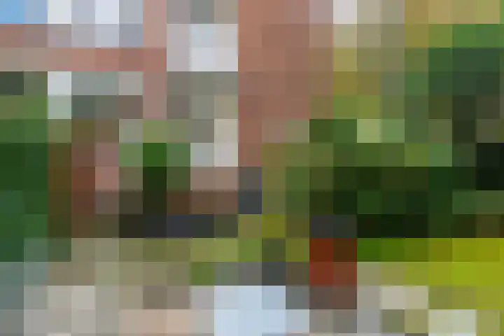 Generaal Berenschotlaan 215 Rijswijk thumbnail 19